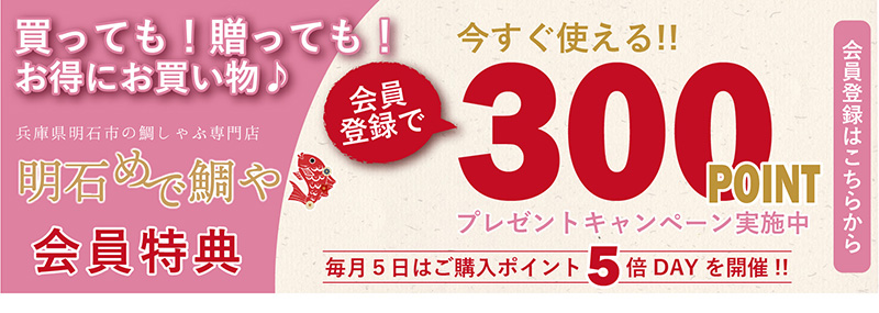 会員登録で300ポイントプレゼント