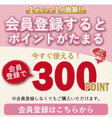 会員登録で今すぐ使える300ポイントプレゼント